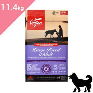 Vi N[|聟 y p ^ z ORIJEN IW [Wu[hA_g hbO y11.4kgz VN { ʒ  ORIJEN LARGE BREED ADULT DOGFOOD