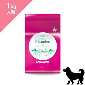 |Cg10{{N[|L y p 嗱 z Plaiaden vCA[f hCt[h CoX 嗱TCY y1kgz Dog food Ki v~At[h Y w엿sgp `L