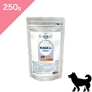 N[|L y p tPA z V FORZA10 tHc@fBG` i[ANeBu ~j y250gzÖ@H t PA t ta  Active Line RENAL active Ki v~At[h