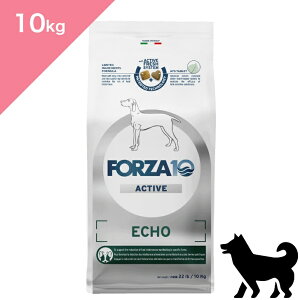 N[|L y p PA  z V FORZA10 tHc@fBG` GR[ANeBu ~fBAy10kgzÖ@H O  PA  O̔畆 Active Line ECHO active Ki v~At[