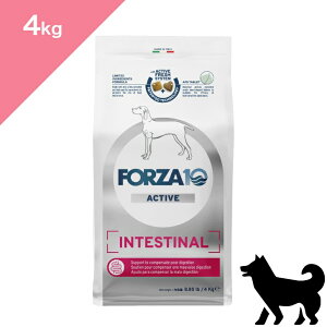 N[|L y p ݒPA  z V FORZA10 tHc@fBG` CeXeBiANeBu ~fBAy4kgzÖ@H    PA  Active Line INTESTINAL active Ki v~A