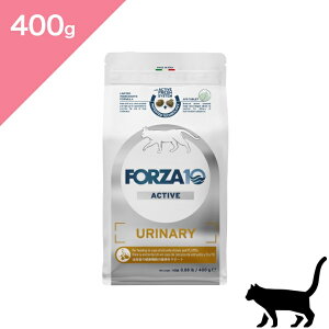 N[|Ly Lp APA z V FORZA10 tHc@fBG` Ei[ ANeBu Lbg y400gzÖ@H AH XgoCg  AH A PA ph  Ei[ Active Line U