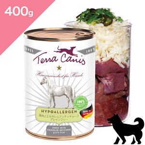 N[|聟 ypz TerraCanis eJjX nC|AQ n y 400g zEFbgt[h Rv[gH AM[ n GTA[eB`[NiLNCj Horse Jerusalem-Artich