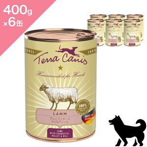 N[|聟 6ʓP[Xypz TerraCanis eJjX NVbN ƃYbL[j y400g ×6ʁzEFbgt[h Rv[gH r YbL[j Lamb Courgette Wetfood Ki v~A