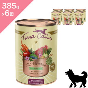 N[|聟6ʓP[XypzTerraCanis eJjX }[PbgO[ r[ty385g ×6ʁzEFbgt[h Rv[gH  jW Ⴊ ubR[ Market Ragout Beef Broccoli