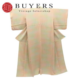 【中古】 小紋 廣瀬雄望 単衣 鮫小物 正絹(金銀糸除く) オレンジ系 グリーン系 ぼかし 落款あり 紋付き 和装 呉服 和服 きもの レディース 女性