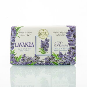 ǂ Iׂ6 lXeB_e NESTI DANTE Ό \[v ΂ 