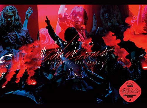 欅坂46 LIVE at 東京ドーム ~ARENA TOUR 2019 FINAL~(初回生産限定盤)(DVD)(特典なし) [DVD] 【中古】