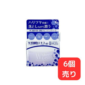 �y6�Z�b�g�zW���זE���C�X�`���[�N�����W���O�o�[���@50g