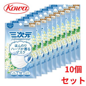 a ق̂n[u}XN WX~̍ zCg 5 y10Zbg 5 v50zkowa sDz ܂Ƃߔ 10 Zbg { Ri ԕ  CtGU ECX PM2.5 