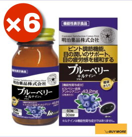 【6個】機能性表示食品 健康キラリブルーベリー＋ルテイン　60粒