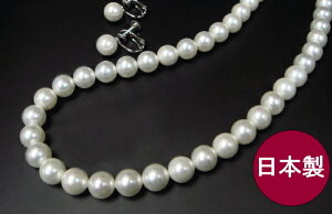 y16NAyVNԃLO܁z{Y A{Lp[lbNXZbg COsAX8mmʉԎ싉 (tH[}   I w Ǝ ܎O lj AEj