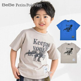 【10%OFFタイムセール】BeBe Petits Pois Vert（べべ・プチポワヴェール）「リアル恐竜ロゴプリント半袖Tシャツ(95~150cm)」子供服 子ども服 男の子 女の子