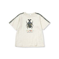 楽天市場】キッズ カブトムシ tシャツの通販