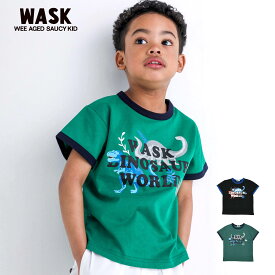 WASK（ワスク）「【抗菌防臭】恐竜蓄光プリントリンガー天竺Tシャツ(100~160cm)」子供服 子ども服 男の子 女の子 100 110 120 130 140 150 160 トップス Tシャツ 半袖 キッズ ギフト ブランド