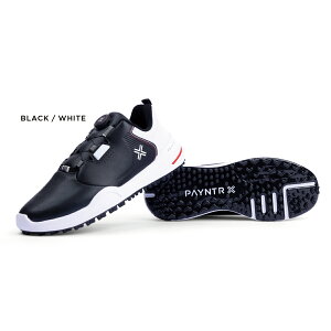 �y�C���^�[�S���t �S���t�V���[�Y�@�X�p�C�N���X �_�C������ X003 FF 40007 �qPAYNTR GOLF�r