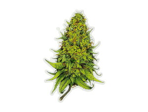 THC �X�e�b�J�[ Plant Buds C267