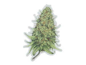 THC �X�e�b�J�[ Plant Buds C267
