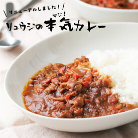リュウジの本気カレー(6食セット）