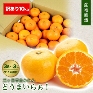 󂠂 O  ݂ 10kg  󂠂 ǂ܂炟I 3S ` 3L TCYs O݂ 󂠂݂ Yn _ƒ ~J  10L É   嗱  ʕ t