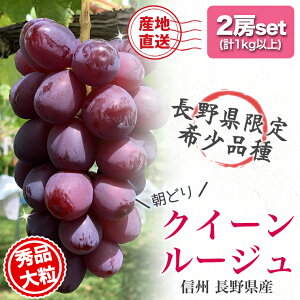 y\z쌧Y Gi 嗱 NC[[W 2[set 1kgȏ ( 500gȏ × 2 [)  햳 炲ƐHׂ ̂ Ԃ  Ԃǂ uhE  1L MB  Mtg Yn _ƒ 