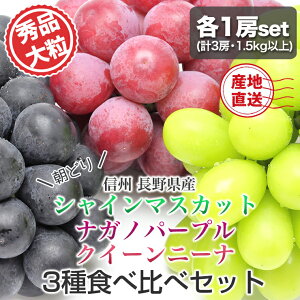 쌧Y Gi 嗱 VC}XJbg iKmp[v NC[j[i Hה 3set 1.5kgȏ ( 500gȏ × 3 [)  햳 炲ƐHׂ ̂  Ԃǂ uhE  1L MB 