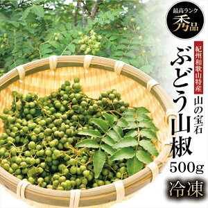 Yn Ⓚ R R̎ 500g IBa̎RY R̕ Y ԂǂR 500g R Yn 񂵂傤 N[֔z a̎R Lc Y R  Ԟ XpCX  