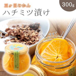 O ݂ ݂͂ Ђ nj[ 300g ۑ F  Y r rl ݂nj[ ݂݂͂ O݂ OP݂ Ɨp XC[c gbsO I n`~c ~J 