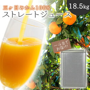 一斗缶 18.5kg 三ヶ日 みかん ジュース 果汁 100% 保存料 着色料 香料 無添加 無着色 無香料 無保存料 瓶 ストレート みかんしぼり みかんジュース 温州みかん 安心 送料無料 業務用 オレンジジ