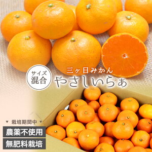 Gi ͔|Ԓ_sgp 엿 O ݂ 8kg  _ ₳炟 TCYs ʓc ݂ p Mtg  O݂ R͔| Yn _ƒ ~J  