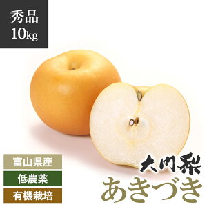 y\zGi 嗜 _ L@͔| Â 10kg xRY ̂  n ԓy͔| n n H t[c  iV Ȃ ʕ   Â VN xR xR ǂ 