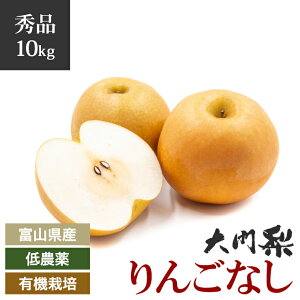 y\zGi 嗜 _ L@͔| 񂲗 10kg xRY ̂  n ԓy͔| n n H t[c  iV Ȃ ʕ   Â VN xR xR ǂ 
