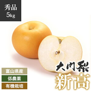 y\zGi 嗜 _ L@͔| V 5kg xRY ̂  n ԓy͔| n n H t[c  iV Ȃ ʕ   Â VN xR xR ǂ p 