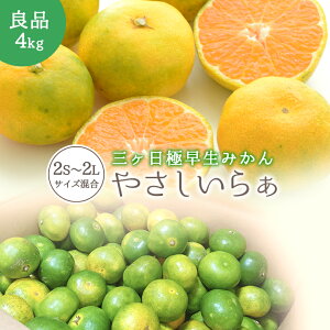 Ǖi ͔|Ԓ_sgp 엿 O ɑ ݂ 4kg  _ ʓc ݂ Ki ₳炟 2S ` 2L TCYs R͔| O݂ 󂠂݂ Yn _ƒ