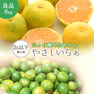 Ǖi ɏ ͔|Ԓ_sgp 엿 O ɑ ݂ 8kg  _ ʓc ݂ Ki ₳炟 2S 3S TCYs R͔| O݂ 󂠂݂ Yn _