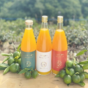 INDEN݂W[X 3{Zbg O ʓc ݂ ݂ t[c k ʕ ʎ  fU[g Y W[X ݂W[X ݔ Zbg