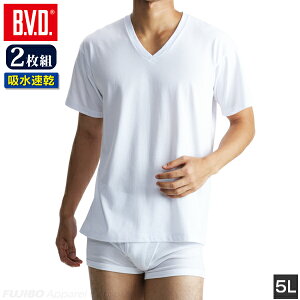 y500~OFFN[|zzzu2g{zvB.V.D. BASIC STYLE VlbNTVc (5L) z Vc Y Ci[Vc  yzzyVvzyz nb205-2p