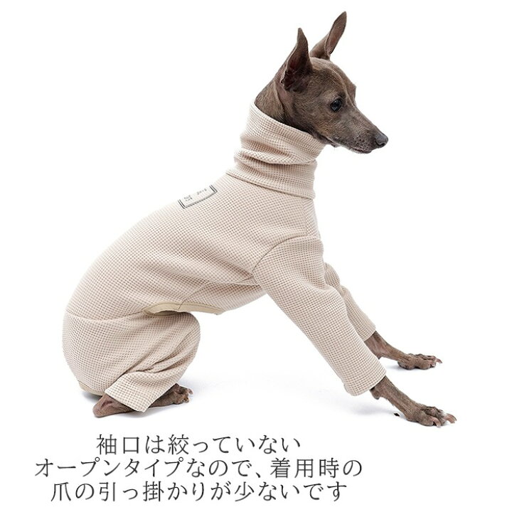 楽天市場】新作 イタリアングレーハウンド 服 イタグレ ワッフル生地 