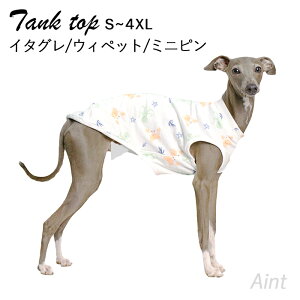 C^O ^Ngbv EBybg ~js C^O vg    C zCg   y S~4XL C^AO[nEh  ~j`AsV[ TCgnE