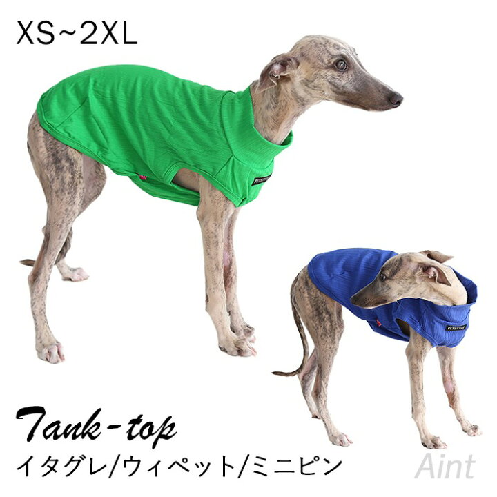 楽天市場】イタグレ タンクトップ 袖なし ウィペット ミニピン 