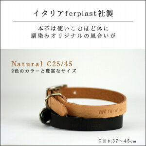 C^AferplastА v  C25/45 i` p  3745cm Nr  т U[  킢 v   U Ai v  ^p Vv IG752150