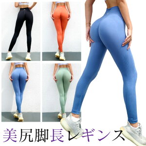 K MX nCCY z tBbglX fB[X Kr r KEFA 킢  zbgK y Xgb` KEGA SW450S