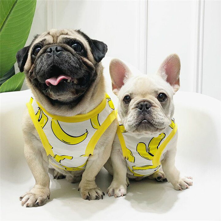楽天市場 ポイント10倍 フレブル タンクトップ フレンチブルドッグ 犬 服 ドッグウェア バナナドッグウェア ペットウェア ペット服 洋服 カジュアル おしゃれ Km031t Bestwear