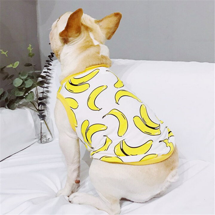 楽天市場 ポイント10倍 フレブル タンクトップ フレンチブルドッグ 犬 服 ドッグウェア バナナドッグウェア ペットウェア ペット服 洋服 カジュアル おしゃれ Km031t Bestwear
