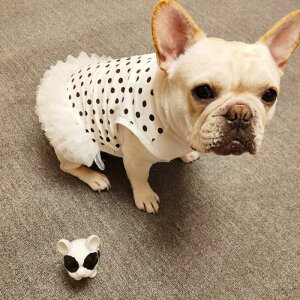 大型 犬 カート 犬用ペット服の人気商品 通販 価格比較 価格 Com