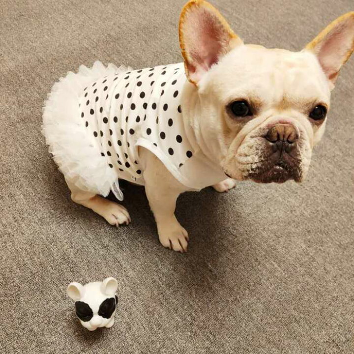 楽天市場 犬服 春 夏 フレンチブルドッグ フレブル 女の子 スカート ペット服 犬 服 洋服 カジュアル おしゃれ かわいい 中型犬 小型犬 大型犬 水玉柄 犬服 ドッグウェア Km077sk Bestwear 楽天市場 犬服 春 夏 フレンチブルドッグ フレブル 女の子 スカート ペット服 犬 服 洋服 カジュアル おしゃれ かわいい 中型犬 小型犬 大型犬 水玉柄 犬服 ドッグウェア Km077sk Bestwear