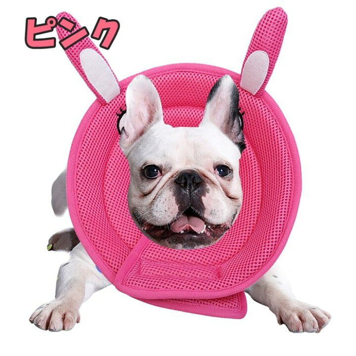 楽天市場 犬 猫 ソフト エリザベスカラー 優しい 柔らかい ストレスフリー 介護犬 面白い 可愛い マジックテープ フレンチブルドック フレブル ケガしない アレルギー Km533g Bestwear