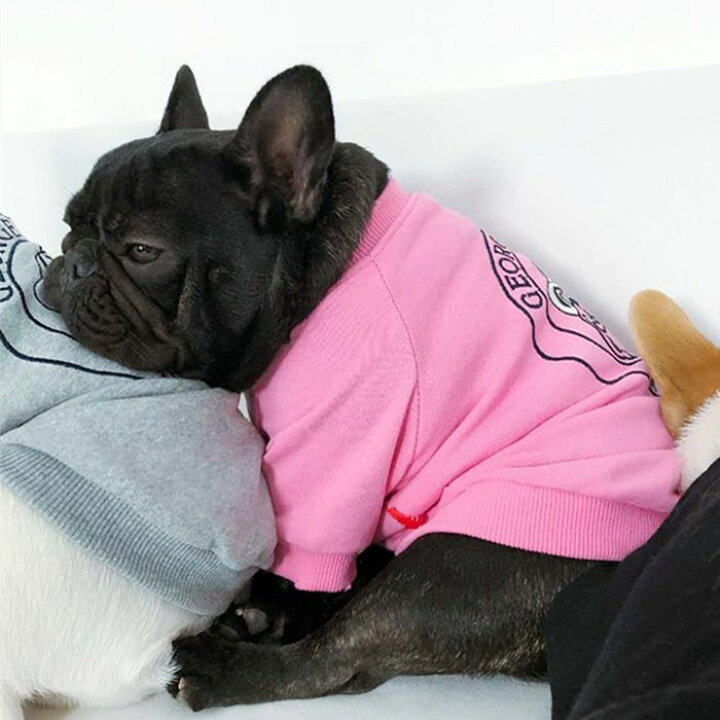 別倉庫からの配送】 フレンチブルドッグ フレブル 服 犬 普段着トレーナー ドッグウェア ブルドッグ スウェット 動きやすい 家着 寝巻 パジャマ KM118TS フレンチブルドッグ フレブル 服 犬 服 普段着トレーナー ドッグウェア ブルドッグ スウェット 動きやすい 家着 寝巻 パジャマ KM118TS