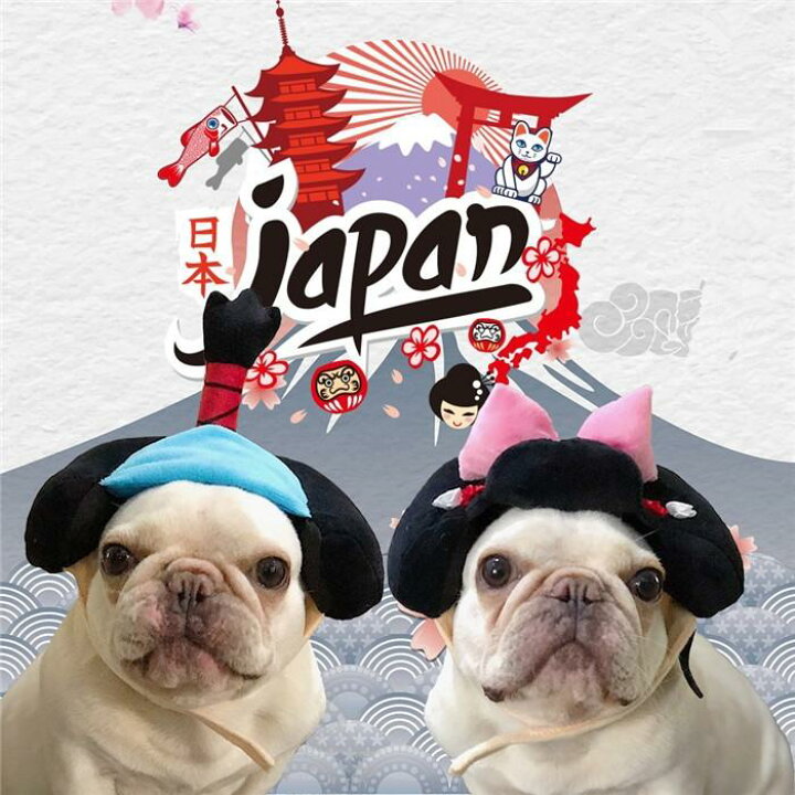 楽天市場 犬 着物 かつら 正月 ちょんまげ ハロウィン クリスマス イベント 帽子 ポメラニアン ミニチュアシュナウザー ヨークシャテリア ヨーキー シーズー マルチーズ フレンチブルドッグ キャバリア パグ パピヨンボストンテリア 殿 姫 舞子 侍 時代劇 撮影 イベント