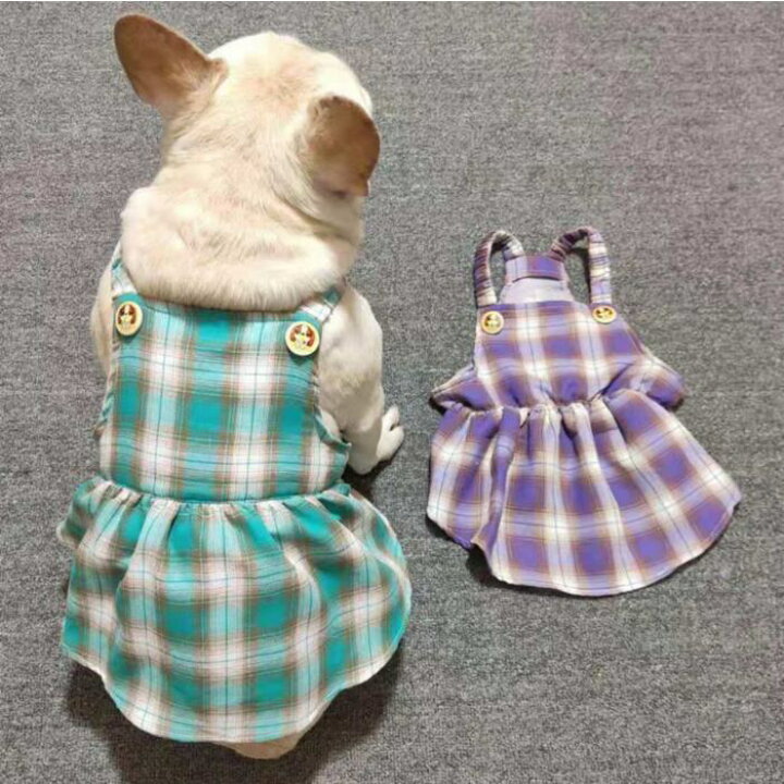 楽天市場 数量限定マスクおまけ 犬服 春 夏 ワンピース フレンチブルドッグ 服 中型犬 小型犬 フレブル グリーン パープル チェック柄 女の子 スカート ワンピース フリル 犬 ドッグウェア 犬服 ペット服 Km377sk Bestwear